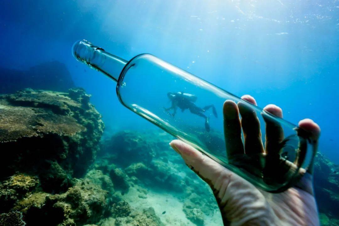 盘点一下《海贼王》中,有哪几支雇佣军呢?-最新、最热、最全面的红迪网平台